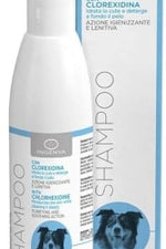 INGENYA - SHAMPOO CON CLORHEXIDINA PERROS (250 ML) 🐶