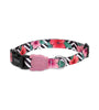 ZEE DOG - MAHALO Cat collar 🐱