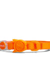 ZEE CAT - NeoPro Tangerine Cat collar 🐱