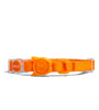 ZEE CAT - NeoPro Tangerine Cat collar 🐱