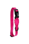 ZEE DOG - Pink Led collar EXTRA SMALL🐱