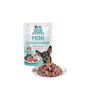 BRIT CARE - Perros Mini Esterilizados Salmon y Arenque 85gr 🐶