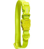 ZEE.DOG - Neo Pro Collar LIME Medium (37 cm - 53 cm cir. cuello) 🐶