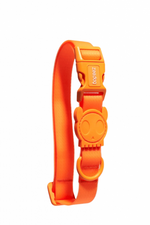 ZEEDOG - Neopro tangerine collar medium 🐶