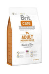 BRIT CARE - Adult Medium Breed Lamb and Rice 3 kg🐶