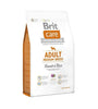 BRIT CARE - Adult Medium Breed Lamb and Rice 3 kg🐶