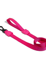 Correa para perros Pink Led Regular Leash Large 🐶