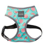 Harness para perros FUZZYARD - Summer Punch Talla L 🐶