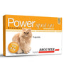 Pipeta pulguicida para gatos POWER SPOT ON de 4 kg a 8 kg  1,0 ml 🐱