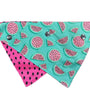 Bandana FUZZYARD - S/M Summer Punch 🐶🐱